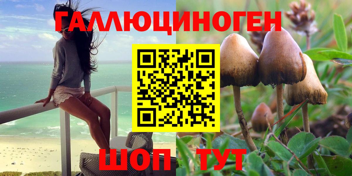 Галлюциногенные грибы Psilocybe Рязань